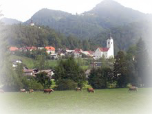 Home Country of Slovenia